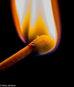 PROF-FIRE - 5 DOZEN !! XXL Lange Lucifers Van +/- 22 Cm - 5 X 40 Stuks (200 Stuks) - Topper!! - Fire-Up Kwaliteit -Merkloos Winkel 1029x1200 10