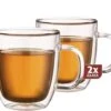 Maxxo Grote Theeglazen - Dubbelwandig - 480ml - 2 Stuks