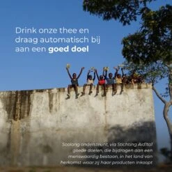 Soolong Theepot - China - Theeset - Kungfu - 6pcs - 1stuks -Merkloos Winkel 1200x1200 804