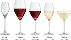 Libbey Champagneglas Iduna – 200 Ml / 20 Cl - Set Van 6 - Elegant Design - Hoge Kwaliteit - Vaatwasserbestendig -Merkloos Winkel 1200x671 5