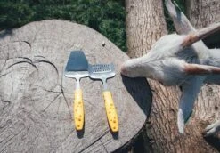 Boska Kaasschaaf Cheesy - Kaasschaaf Harde Kaas - Kaasschaaf Voor Oude Kaas - Groenteschaaf - Groentesnijder - Vaatwasserbestendig - Gele Kaasschaaf - Multifunctionele Kaasschaaf - RVS - Keukengerei - Keuken Accessoires - 10 Jaar Garantie -Merkloos Winkel 1200x834 2