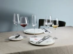 Schott Zwiesel Fortissimo Bourgogne Wijnglazen - 0.727 L - 6 Stuks 19 Schott Zwiesel Fortissimo Bourgogne Wijnglazen - 0.727 L - 6 Stuks -Merkloos Winkel 1200x899 78