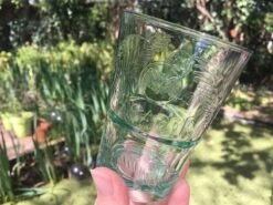 Bacardi Mojito Glazen Groen ( Set Van 6)