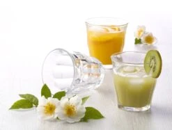 Duralex Picardie Waterglas 310 Ml - Gehard Glas - 6 Stuks -Merkloos Winkel 1200x910 8