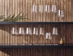 Iittala Essence - Wijnglazen Rode Wijn – Vaatwasserbestendig - Transparant - 45 Cl – Set Van 2 Glazen -Merkloos Winkel 1200x920 8