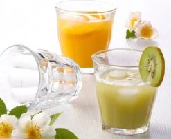 Duralex Picardie Waterglas 310 Ml - Gehard Glas - 6 Stuks -Merkloos Winkel 1200x978 6