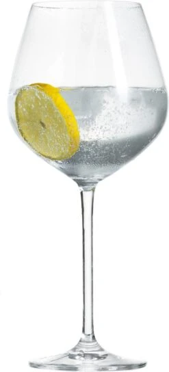 Schott Zwiesel Fortissimo Bourgogne Wijnglazen - 0.727 L - 6 Stuks 16 Schott Zwiesel Fortissimo Bourgogne Wijnglazen - 0.727 L - 6 Stuks -Merkloos Winkel 545x1200