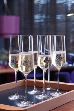 Leonardo Puccini Champagneglas - 280 Ml - 6 Stuks -Merkloos Winkel 800x1200 145