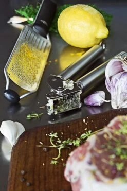 Rösle - Knoflookpers - Zilver -Merkloos Winkel 800x1200 78