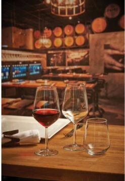 Pasabahce Allegra 49 Cl Wijnglas Doos 6 Stuks -Merkloos Winkel 830x1200 4