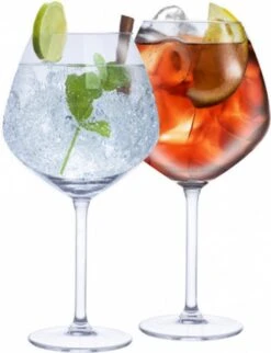 Alpina Set Van 4x Gin Tonic Cocktailglazen Met 4x Herbruikbare Glazen Rietjes - 730 Ml - Cocktails Drinken - Cocktails -Merkloos Winkel 920x1200 1